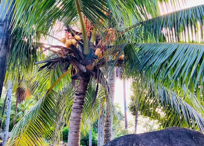 Villa Maria Anse Corail Takamaka