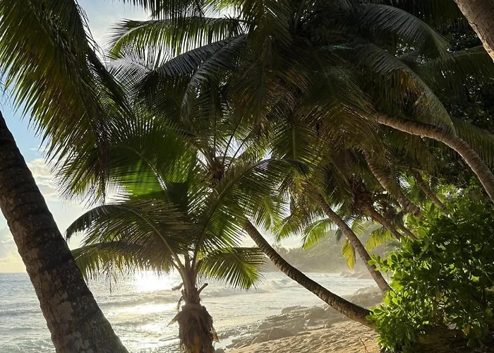 Maria Anse Corail *